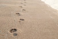 Barefoot Running